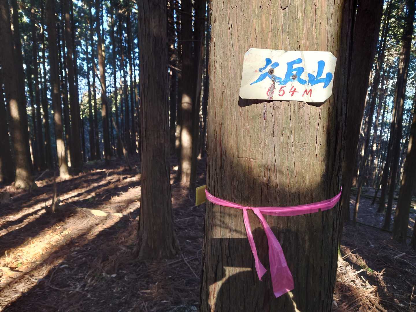 大反山。