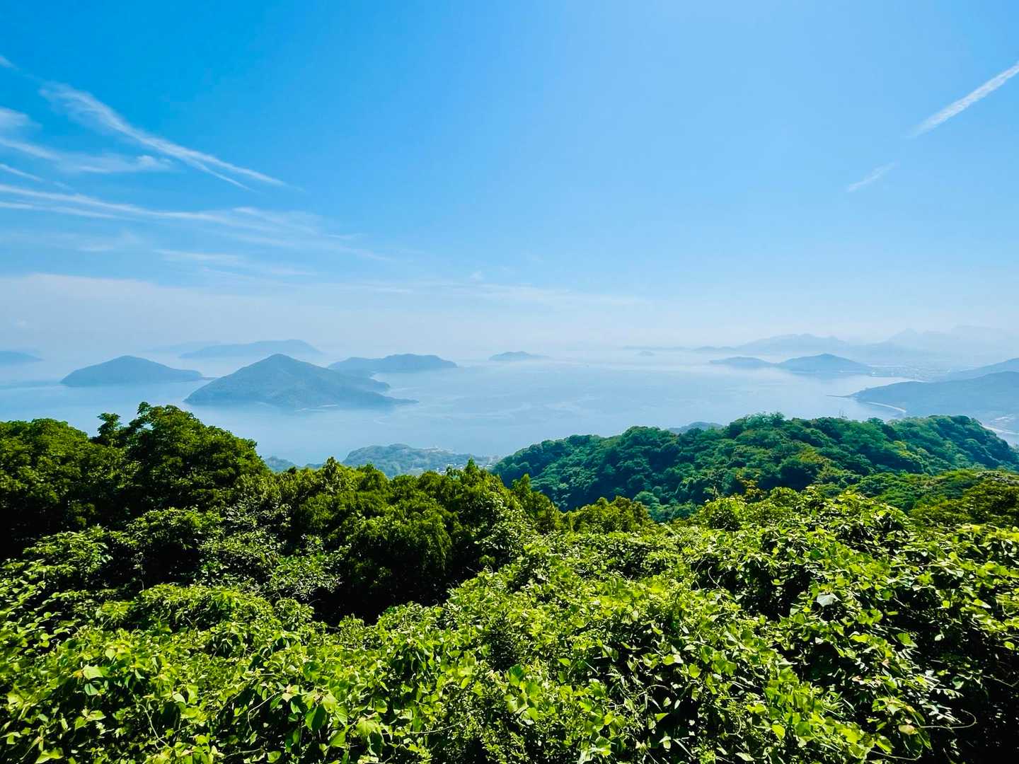 紫雲出山 往復コースの写真