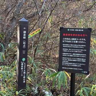 上級者コース😳