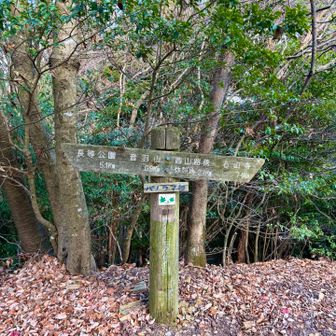 パノラマ台
少し広場になってます。
ベンチもあり。