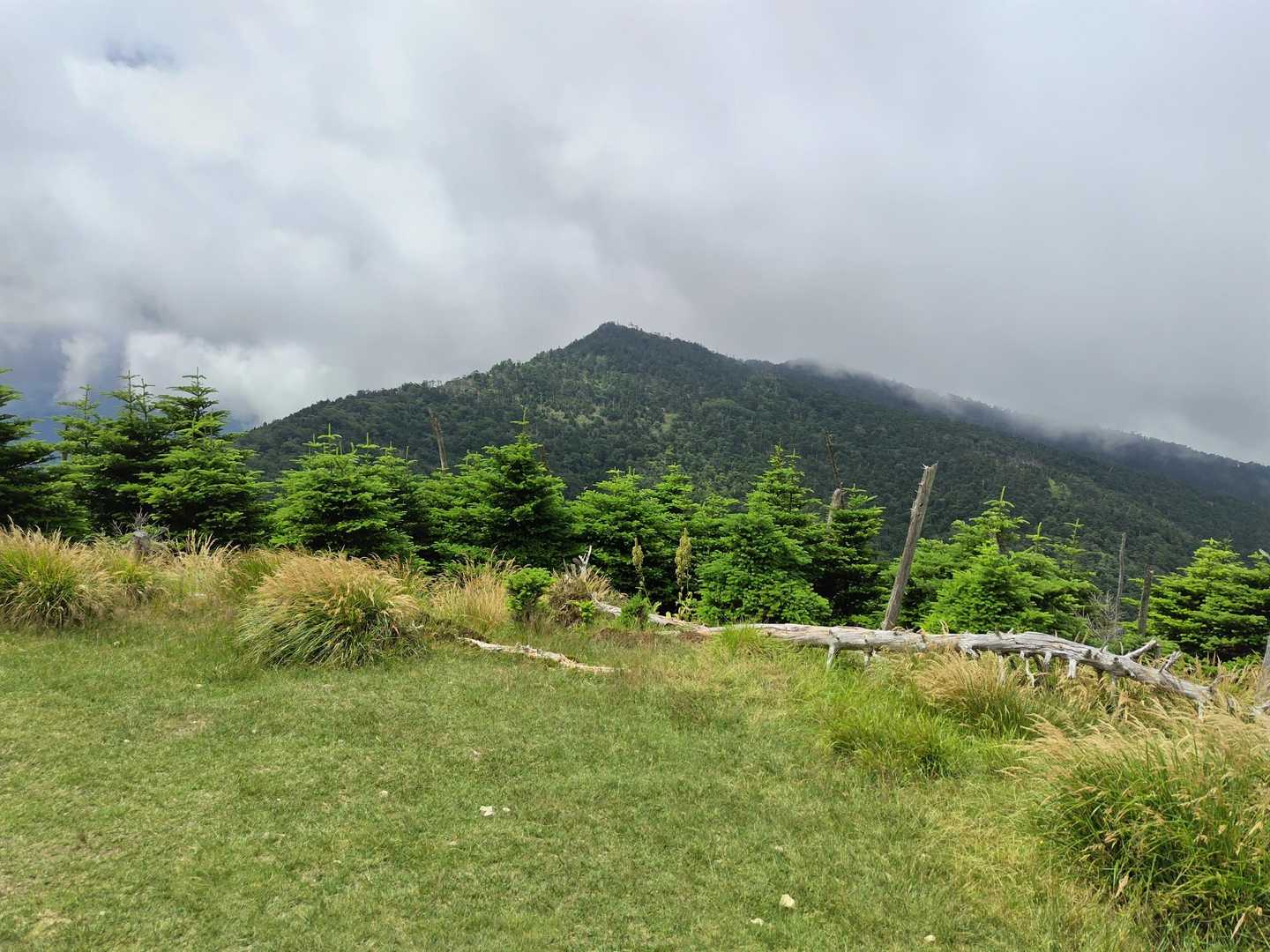 弥山山頂から、
これから目指す八経ヶ岳を望む👀