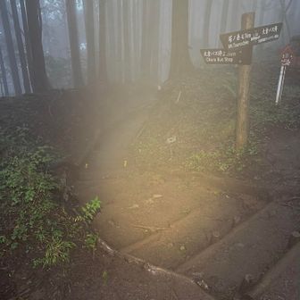とか言いつつ、18時にはゲッザーーンしたかったので、雑事場ノ平でヘッデンオン！
と思ったら、ガスが濃くてMS-i1の明かりが白色・電球色のミックスLED搭載でガスに強いと言えども目の前でガスに反射して見づらいのなんのって。