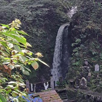 琵琶滝　いつもに増して水量多い