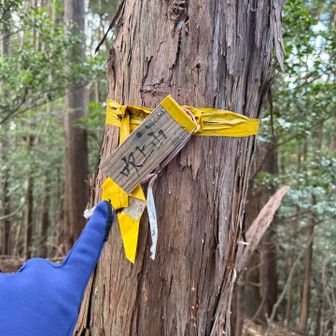 飯能百名山のひとつ