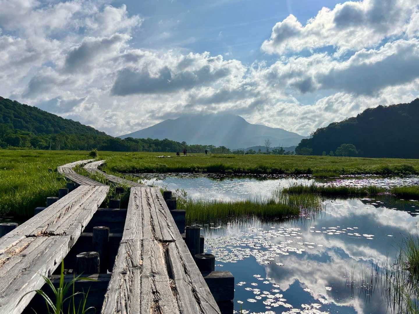 尾瀬ヶ原