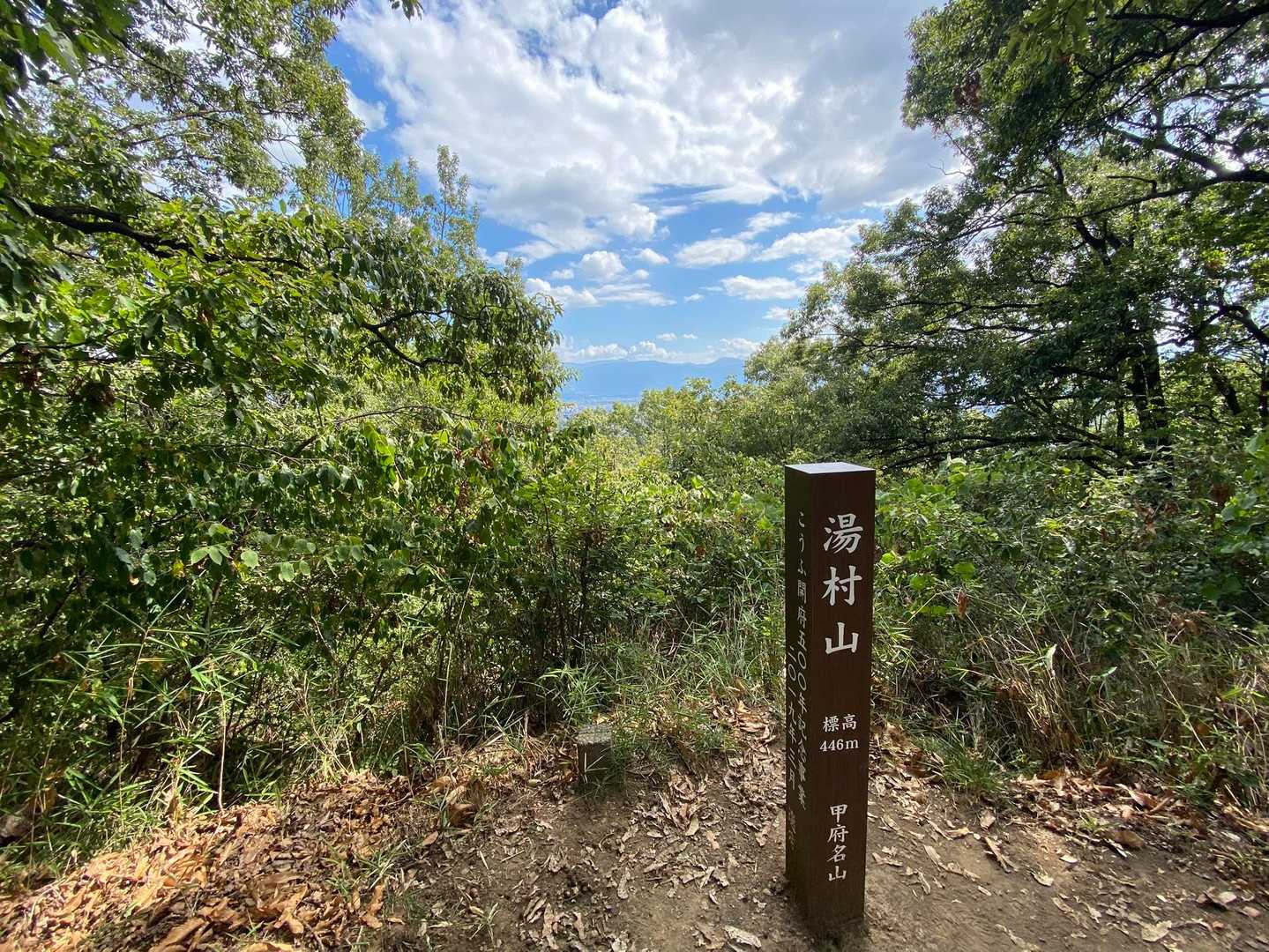 湯村山 往復コースの写真