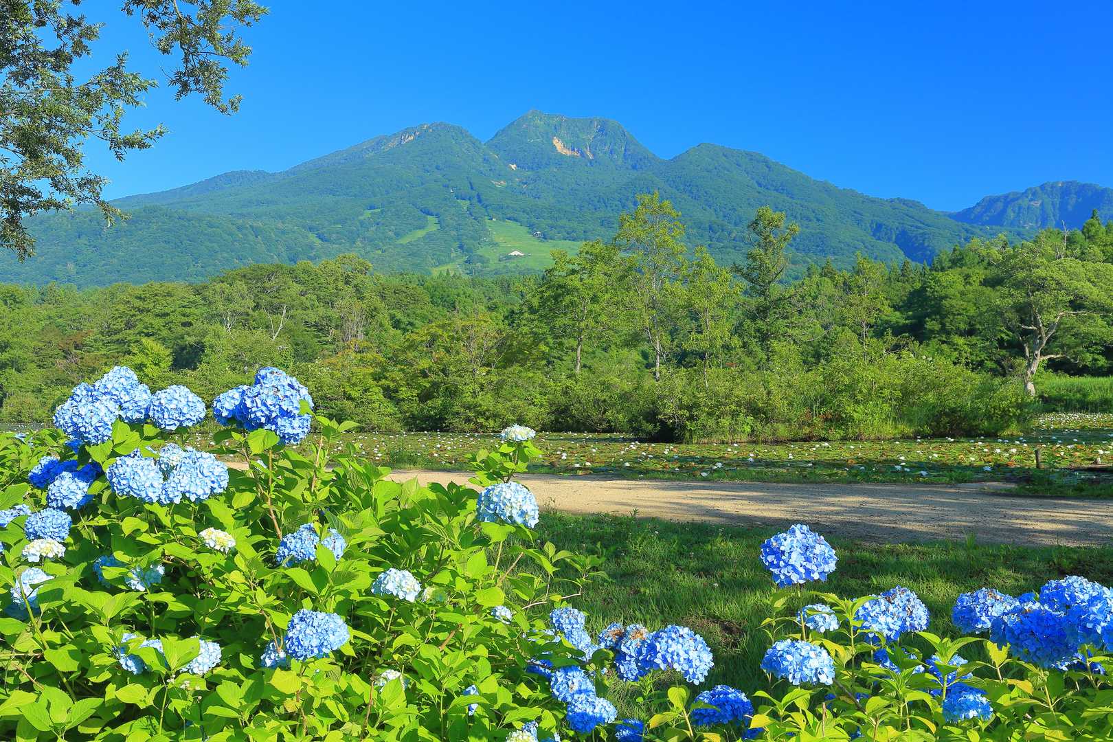 妙高山の写真