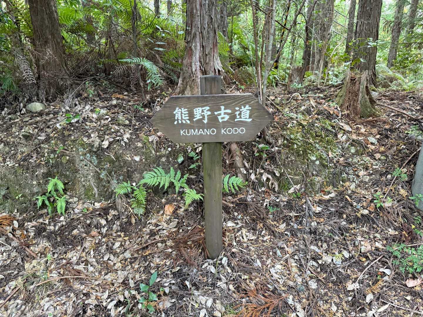 熊野古道 中辺路（滝尻王子〜熊野本宮大社）の写真
