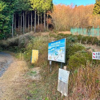 右側の赤澤富士から🚶🏻‍➡️