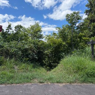 順調に降り登山口に到着