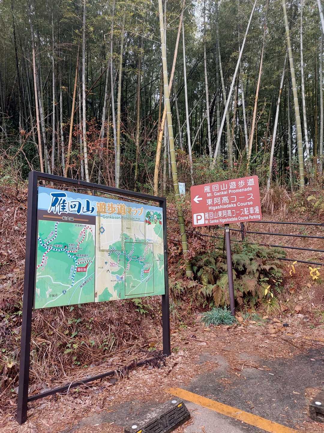 日曜来たら雨と雪で断念しました😅