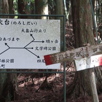 なかなかわかりにくい標識
今どこ？