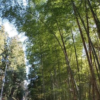 普段は気にしないんだけど📸