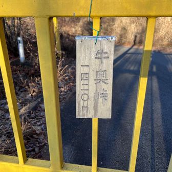 スタート地点に戻ってきてゲートの脇から林道へ