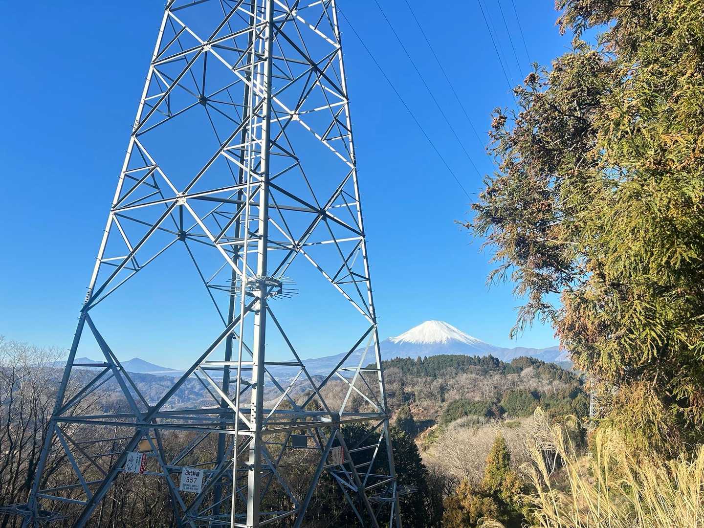 歩きながらもずっと木々の隙間から
フジコが見守ってくれます🗻
鉄塔