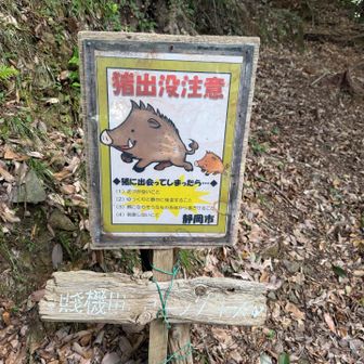 猪が出るそうです。
浅間山で話した男性は、睨み合った事があるって言ってました😅