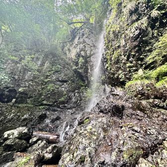 奥の院滝、道から少しそれていくけど、割と荒れ気味