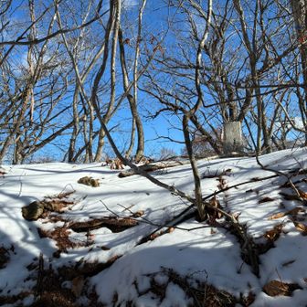 三角点の他に金物が多い山頂