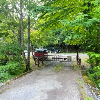 いや～下山時の渡渉も林道歩きも疲労の蓄積で非常に長く感じました💧