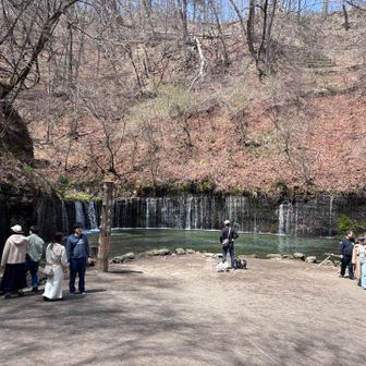 ハイキングロードから、ここに出る。
白糸の滝。いきなり人がたくさん。
