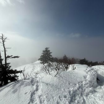 雪山はルートはっきりしない分、危険回避のため多少道への自由度と融通が許されます