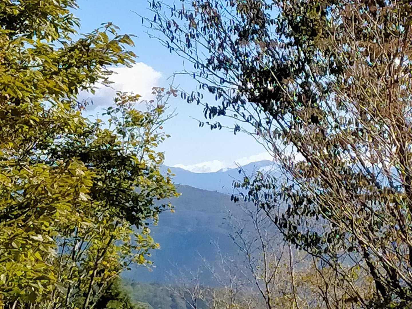 山頂からの僅かな景色1
