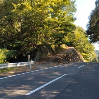此処から入山　左へ