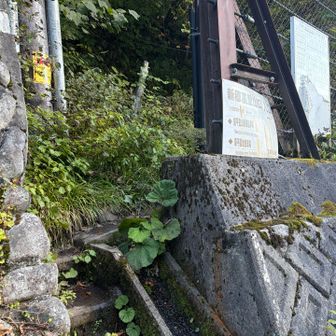 ロープウェイは使わず自分の足で駐車場に帰ります