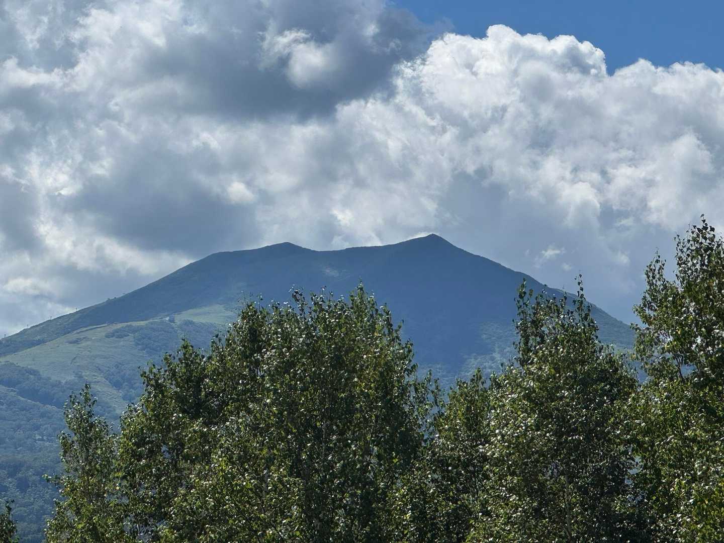 小黒山 往復コースの写真
