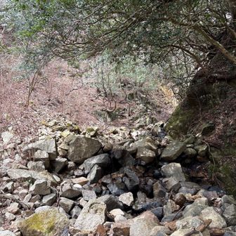 六甲山・長峰山・摩耶山 ザレてて疲れる