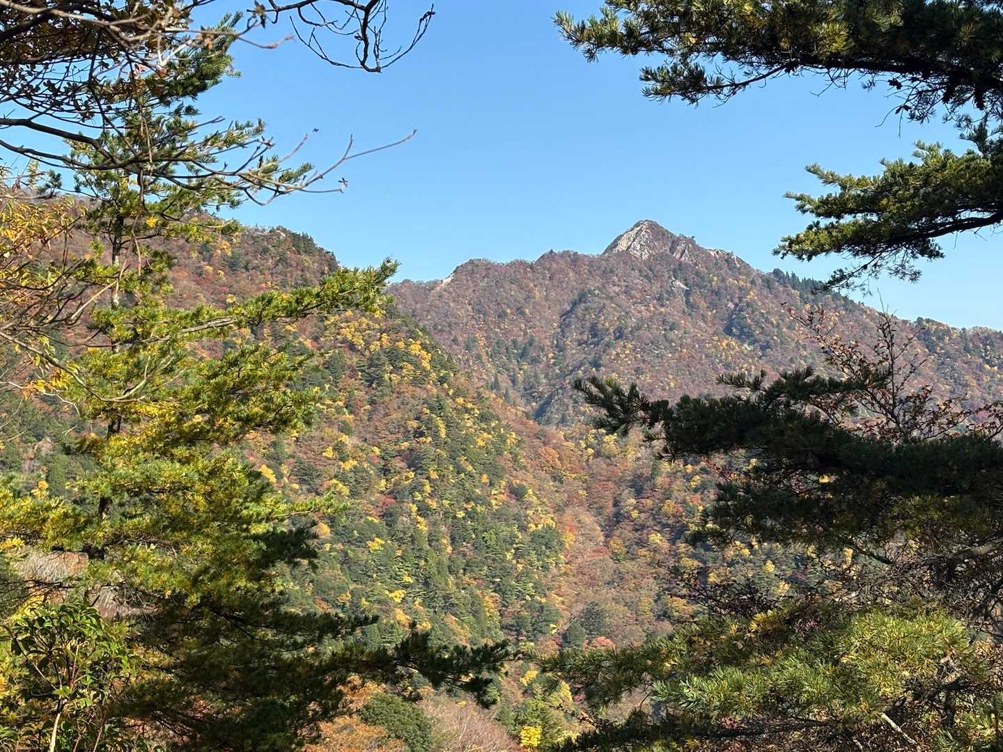 鎌ヶ岳がチラ見え
