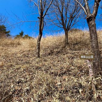 平和な道に出てボケっと歩いていたら取付き通り過ぎてしまた
ここが山頂への道