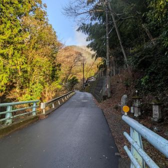 道路をしばらく歩きます。
車両に注意