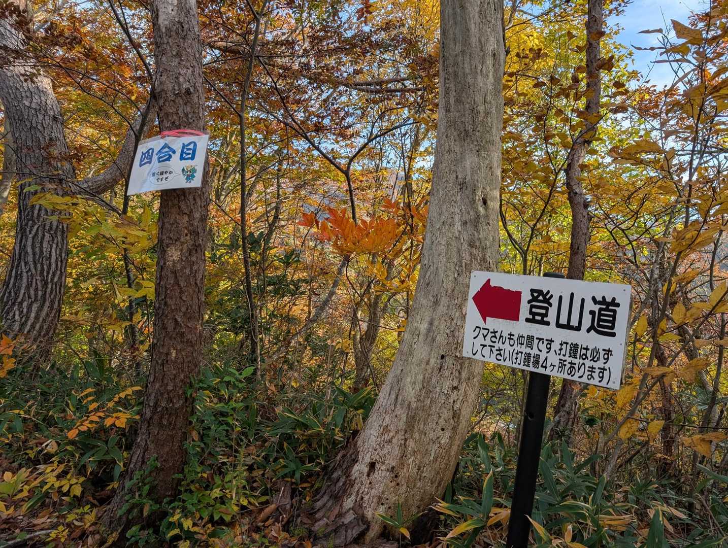 石間口登山道入口-宝珠山 往復コースの写真