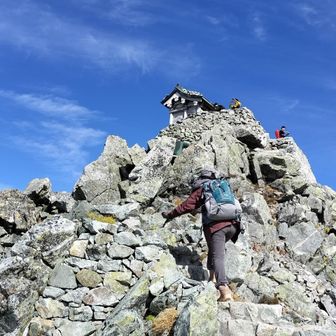 🐖🦁ししまる🦁🐖