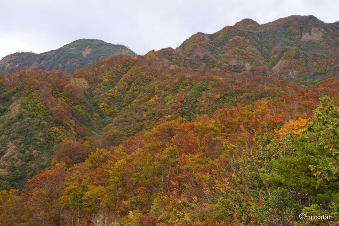 奈良岳の写真