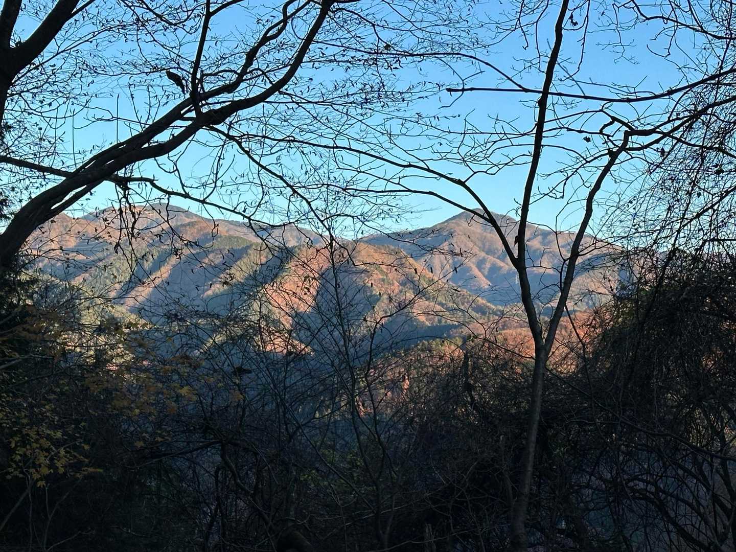 朝日が✨