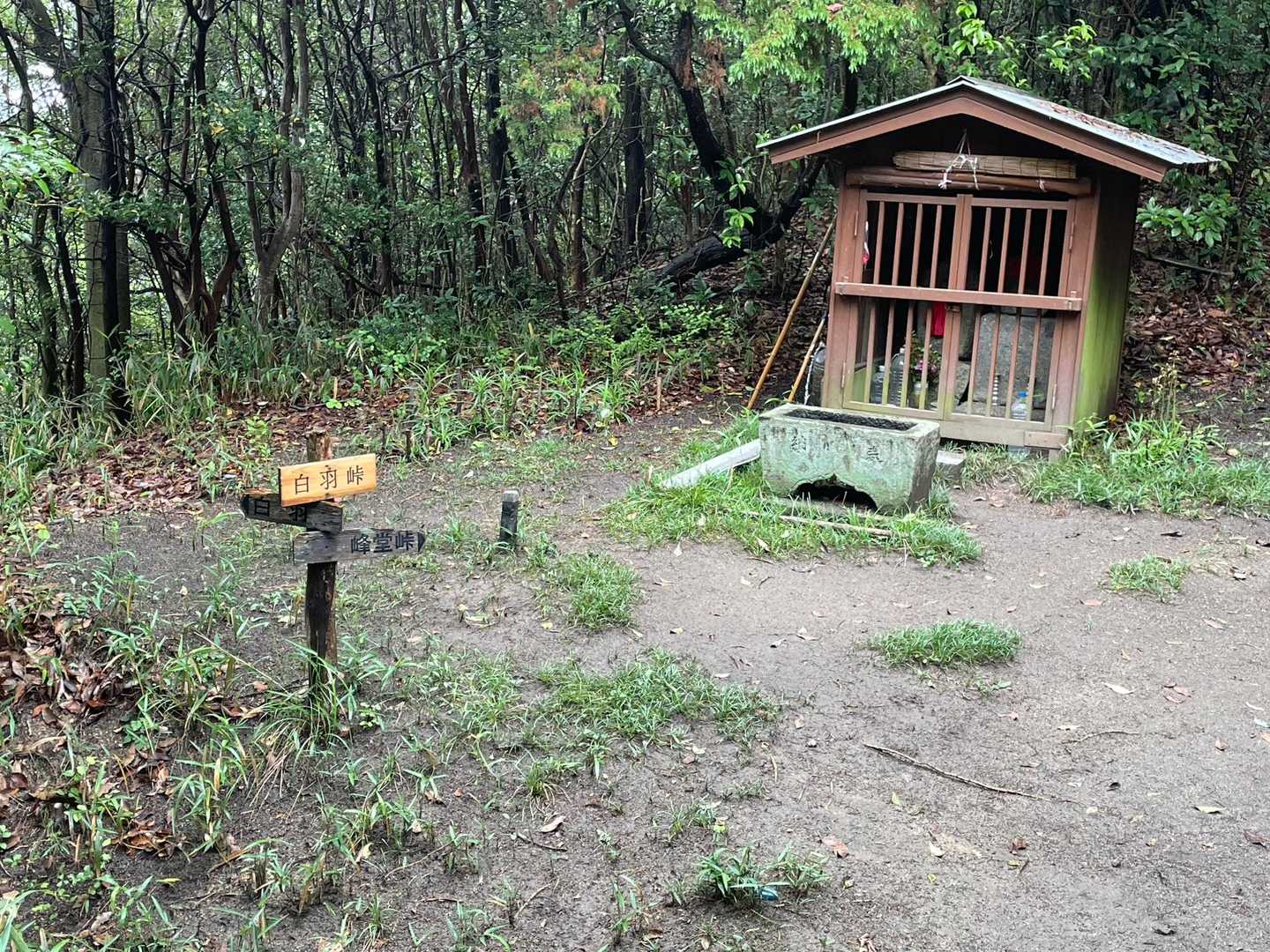 尾根を下り、四差路の白羽峠に
ここも直進