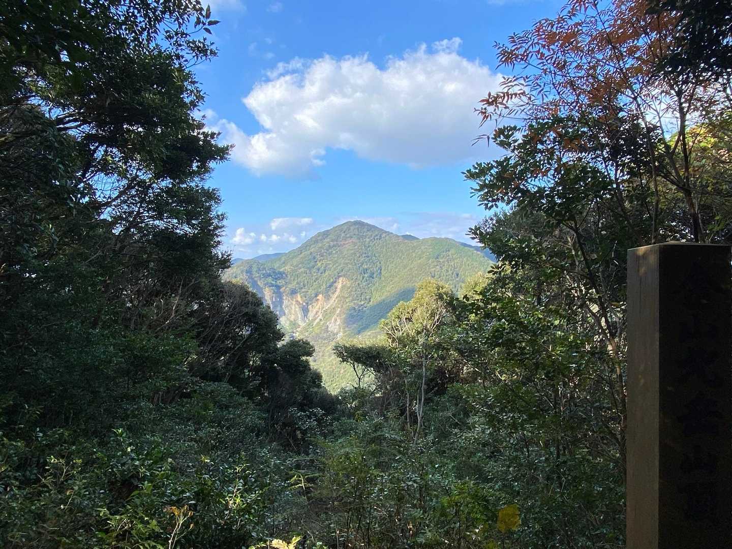 金山北岳到着😊
見えている山はさっき登った孔大寺山かな？

次のピーク、金山南岳に着くと