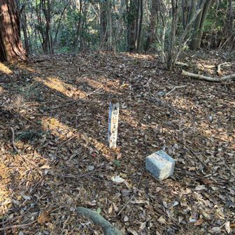 だんだん日が傾きます。