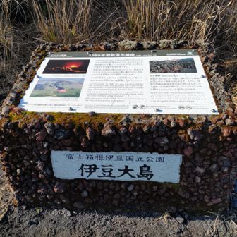 ここまですれ違ったのは1組2人だけ

ホントは最短ルートで山頂へ上がる予定だったのに分岐点を見過ごしちゃった💦
戻るのもなんだし、ちょっと遠回りして
ここから歩きやすい遊歩道経由に変更です