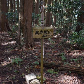 ピーク✅
錫杖にプレート⁉️