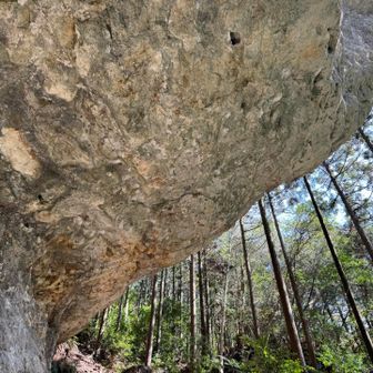 ここにもクライマー🧗
ザイルがあるのがルート⁉️
逆さまやん😅