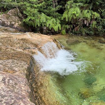 綺麗な水に感動です