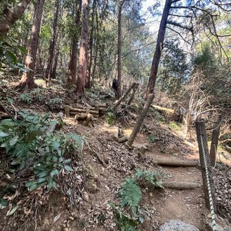 まずは大黒山を目指し登っていきます