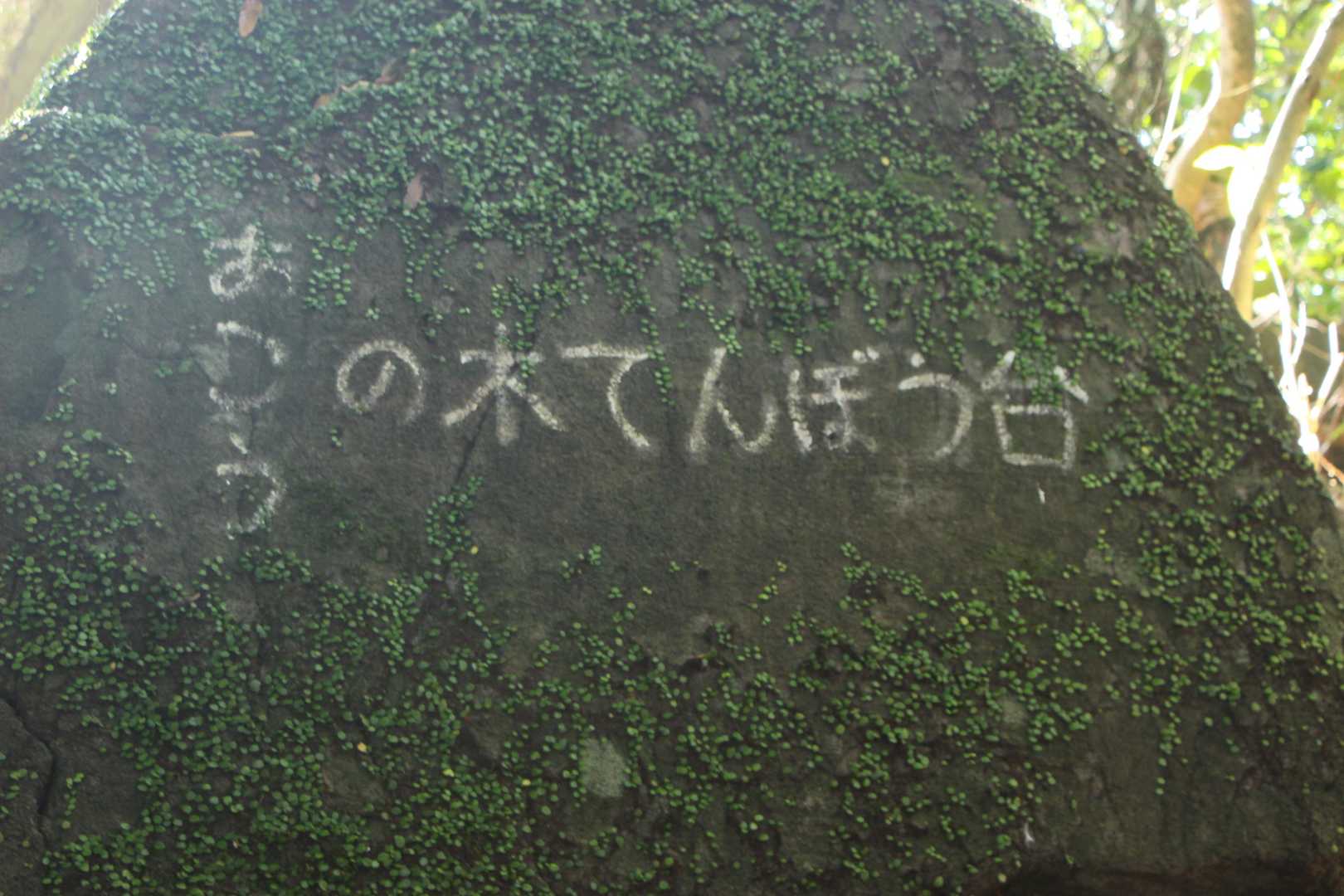 展望所に到着