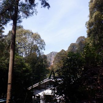 八幡山までのロープウェイ