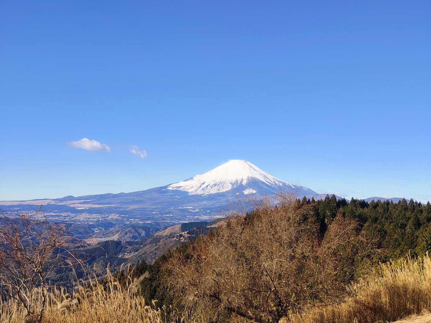 高松山山頂から✨初富士👍