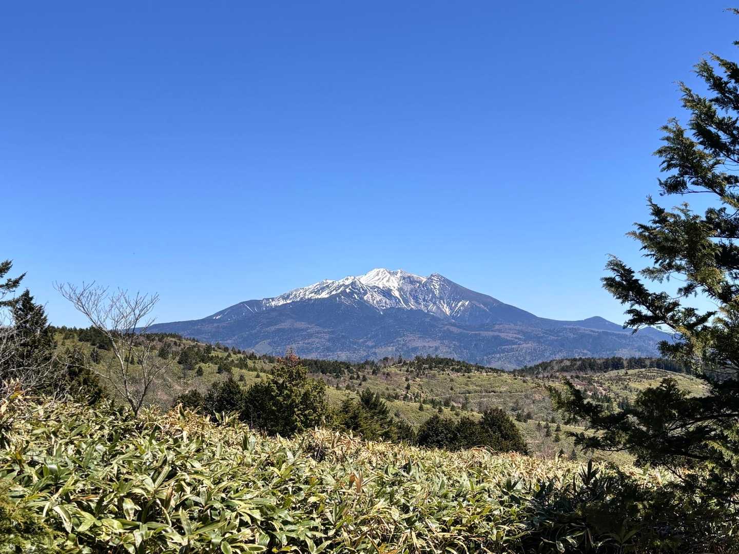 黒谷林道入口-白草山 往復コースの写真