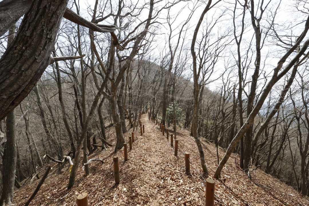 御前山 の写真 21